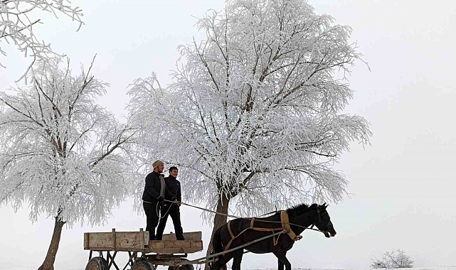 Erzincan'ın Otlukbeli ilçesi buz tuttu!
