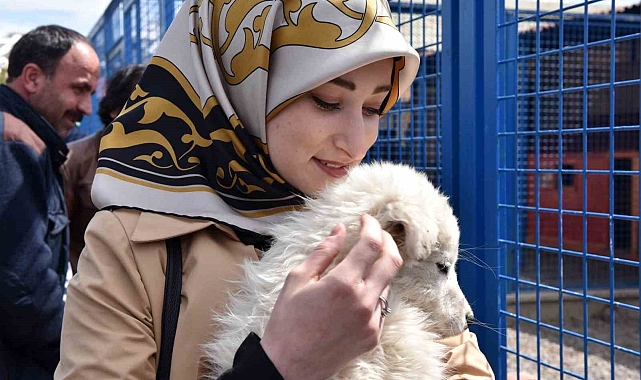 Erzurum Büyükşehir Belediyesi Hayvan Barınağı'nın kapasitesini artırıyor