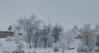 Erzurum buz kesti