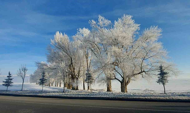 Erzurum Ovası eksi 24 ile buz kesti
