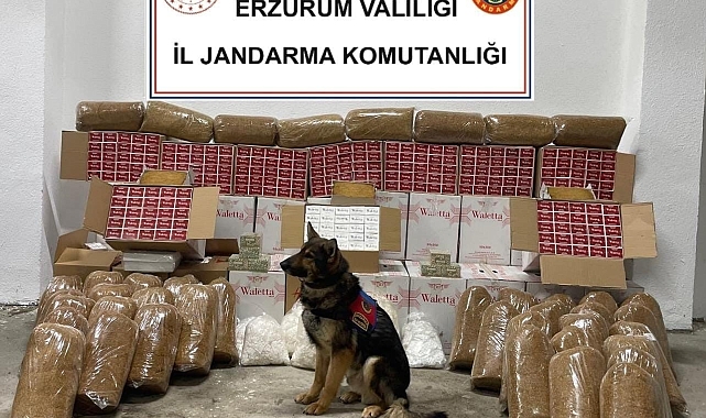 Erzurum'da Zahir yine kaçakçıları ele verdi