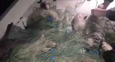 Gökpınar Barajına bırakılan kaçak ağlar toparlanıyor