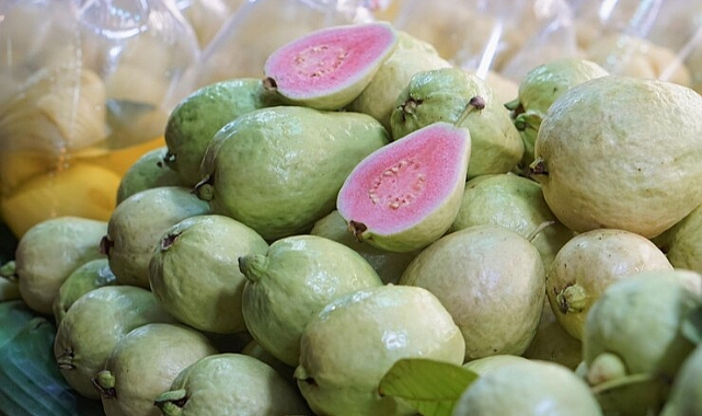 Guava Meyvesi Nedir? Guava Meyvesi Faydaları