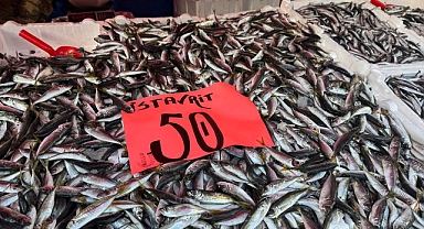 Hamsi ve istavrit yüz güldürdü