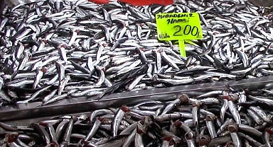 Hamsi yeni yıla ucuzlayarak girdi