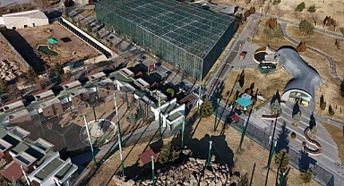 Hayvanat bahçesinde 2024 dolu dolu geçti