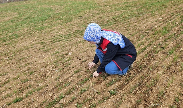 Hububat ve haşhaş ekili alanlarda arazi kontrolleri yapmaya devam ediyor