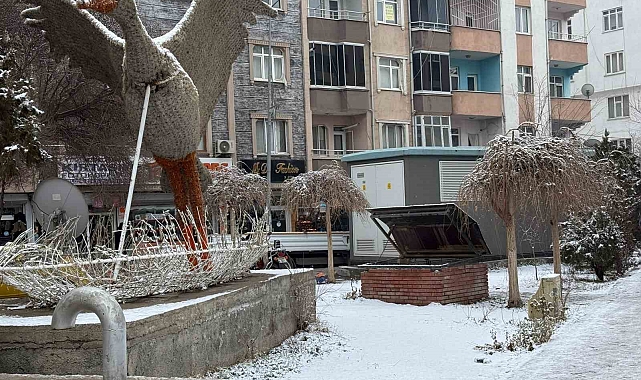 Iğdır şehir merkezine mevsimin ve yılın ilk karı yağdı
