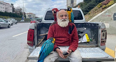İstanbul’un "Papağanlı Amcası" görenlerin ilgi odağı oluyor