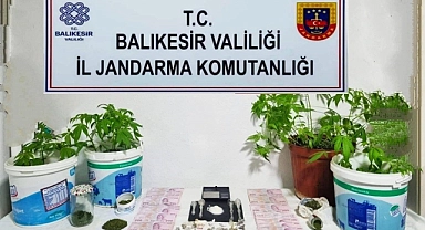 Jandarma’dan 6 ilçede uyuşturucu operasyonu