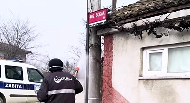 Kahverengi kokarca ile mücadele sürüyor