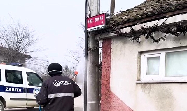 Kahverengi kokarca ile mücadele sürüyor