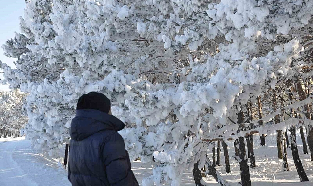 Kars’ta soğuk hava etkisini gösterdi