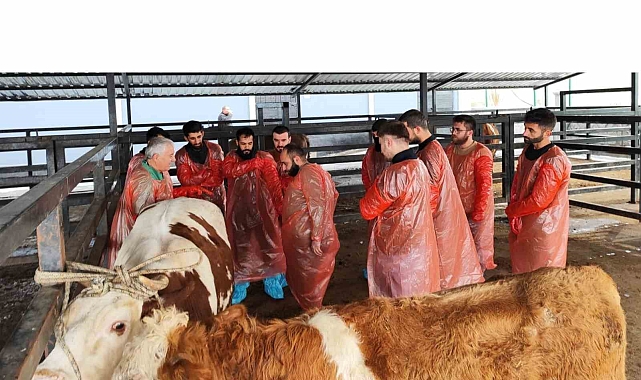 Kars'ta "İneklerde Rektovaginal Yöntemle Suni Tohumlama" kursu tamamlandı