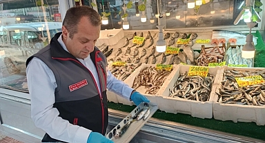 Kastamonu’da su ürünleri denetimlerinde 14 kişiye toplam 244 bin lira ceza uygulandı