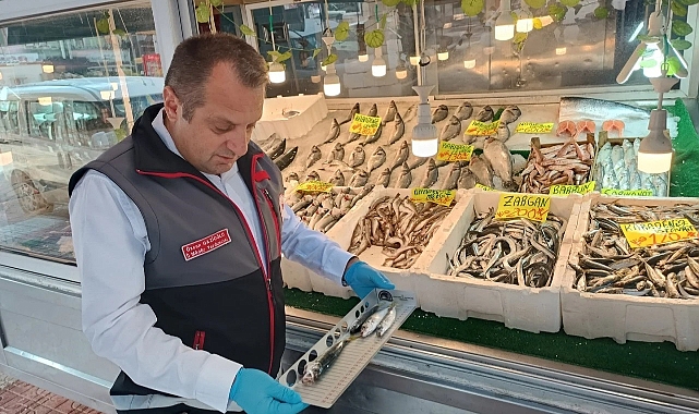Kastamonu’da su ürünleri denetimlerinde 14 kişiye toplam 244 bin lira ceza uygulandı