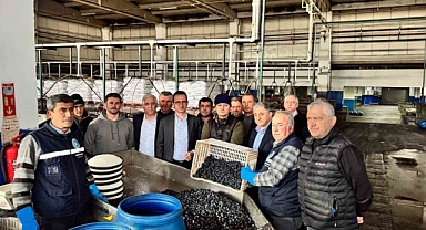 Kaymakam Karaman İznik Zeytin Kooperatifi’ni ziyaret etti