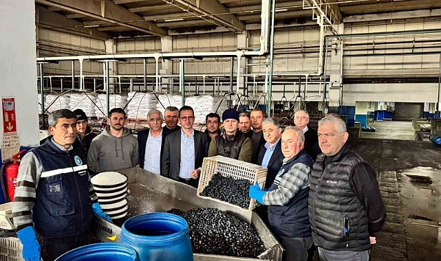 Kaymakam Karaman İznik Zeytin Kooperatifi’ni ziyaret etti