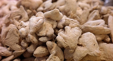 Kış aylarında zencefil ile direnci artırın