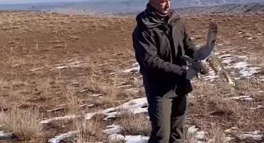 Kulaklı orman baykuşu doğaya salındı
