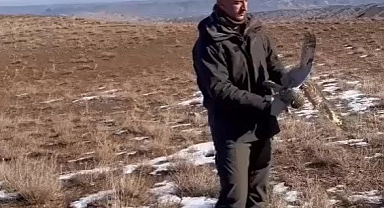 Kulaklı orman baykuşu doğaya salındı