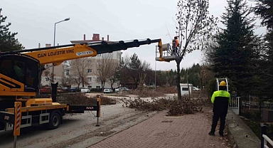 Odunpazarı’nda ağaç bakımları sürüyor