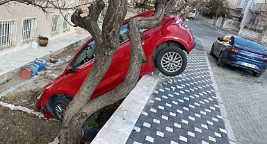 Otomobilini park ederken bahçeye düştü: 1 yaralı