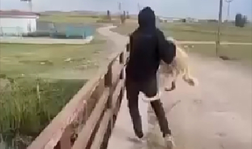 Soğuk kış gününde köpeği köprüden suya attı