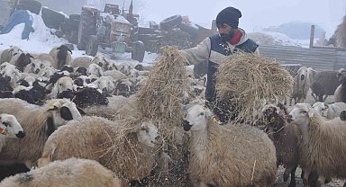 Son yılarda küçükbaş hayvancılık yapanlar çoban bulmakta zorluk çekiyor