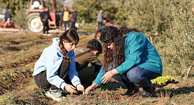Tarsus’ta 5 bin marul fidesi toprakla buluşturuldu