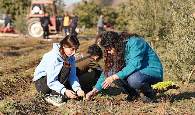Tarsus’ta 5 bin marul fidesi toprakla buluşturuldu