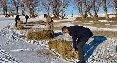 Taşlıçay'da besiciler zorlu kış şartlarında hayvanlarına özenle bakıyor (Videolu Haber)