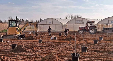 Tekirdağ’da 500 meyve fidanı toprakla buluşuyor