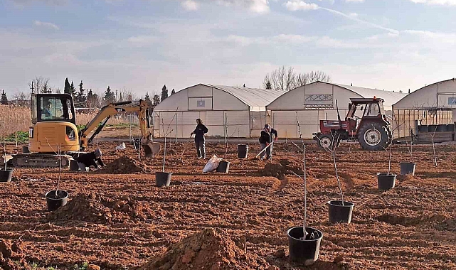 Tekirdağ’da 500 meyve fidanı toprakla buluşuyor