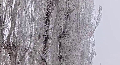 Tekman eksi 24,9 ile dondu