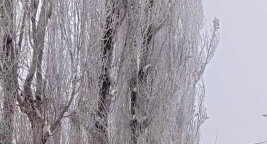 Türkiye'nin en soğuk yeri eksi 24,9 ile dondu