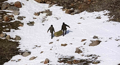Uzmanlar uyardı: "Yaban hayvanlarına bilinçsiz yem bırakmayın"