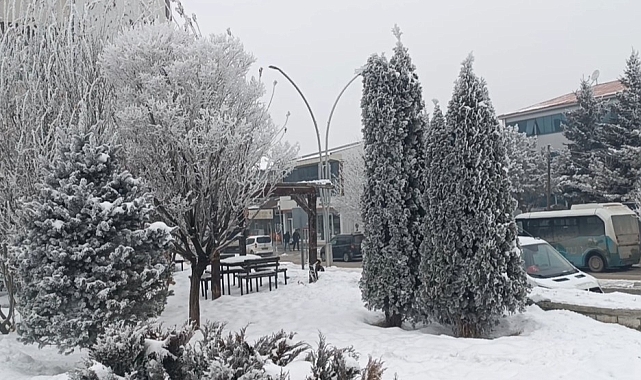 Van Özalp dondu, ağaçlar kırağı tuttu