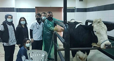 Veteriner Fakültesinde bin 976 hayvan tedavi edildi
