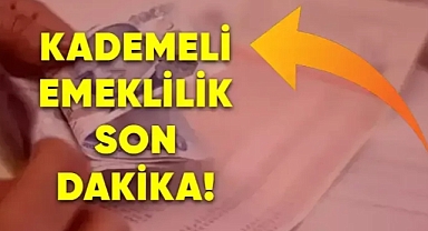 Yeni Emeklilik Reformu: 2205, 3540 ve 5480 Primle Erken Emeklilik Fırsatı!