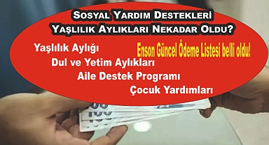 2025 Yılında Güncellenen Sosyal Yardım Destekleri ve Yaşlılık Aylıkları Nekadar Oldu? İşte Detaylar