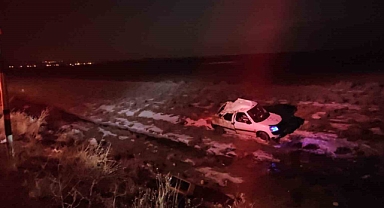 Adilcevaz'da domuz sürüsünden kaçan kamyon devrildi: 3 yaralı