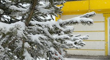 Ağrı’da dondurucu soğuklar yerini kar yağışına bıraktı