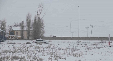 Ağrı'nın Diyadin ilçesinde dondurucu soğuklar etkisini sürdürüyor