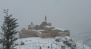 Ağrı'nın tarihi sarayı beyaz örtü altında (Videolu Haber)