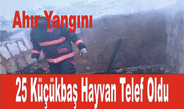 Ahır yangınında 25 küçükbaş hayvan telef oldu
