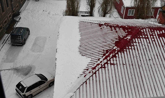 Ardahan'da soğuk hava ve sis yerini kar yağışına bıraktı