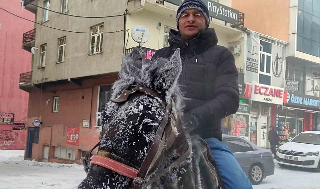 Ardahan'da eksi 24 derecede kurtuluş coşkusu