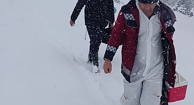 Bingöl'de Kapalı yollara rağmen çiftçileri yalnız bırakmıyorlar