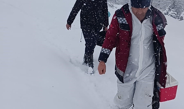Bingöl'de Kapalı yollara rağmen çiftçileri yalnız bırakmıyorlar